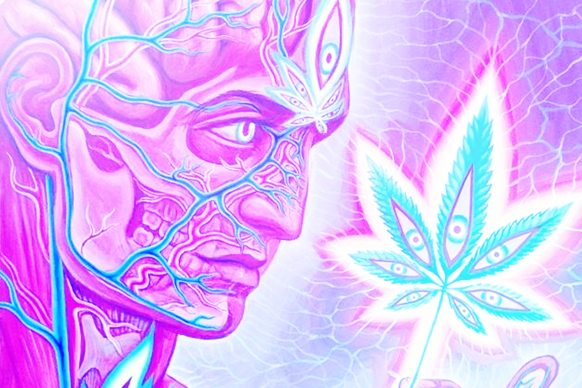 Is Marijuana A Psychedelic? | Psychedelic Spotlight