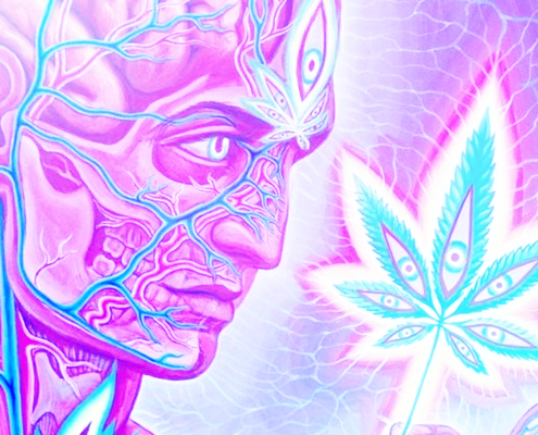 Is Marijuana a Psychedelic