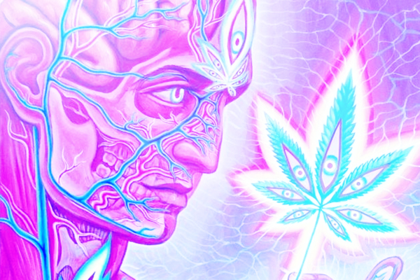 Is Marijuana a Psychedelic?