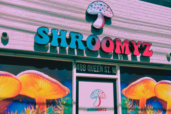 A Look Inside Shroomyz Magic Mushroom Dispensary