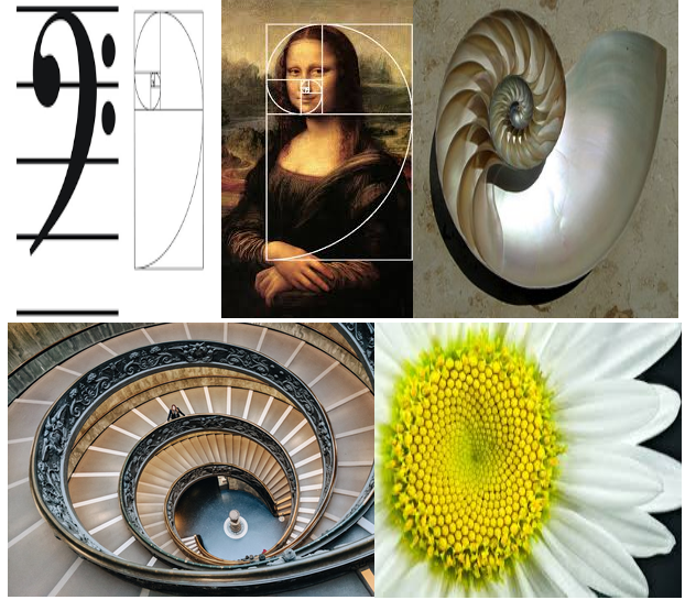 Examples of Fibonacci Curves