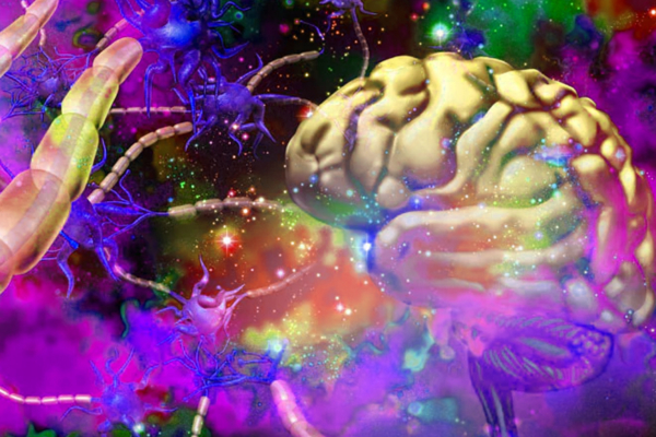 Psychedelic Science: What Does a Serotonin Receptor Look Like in VR?
