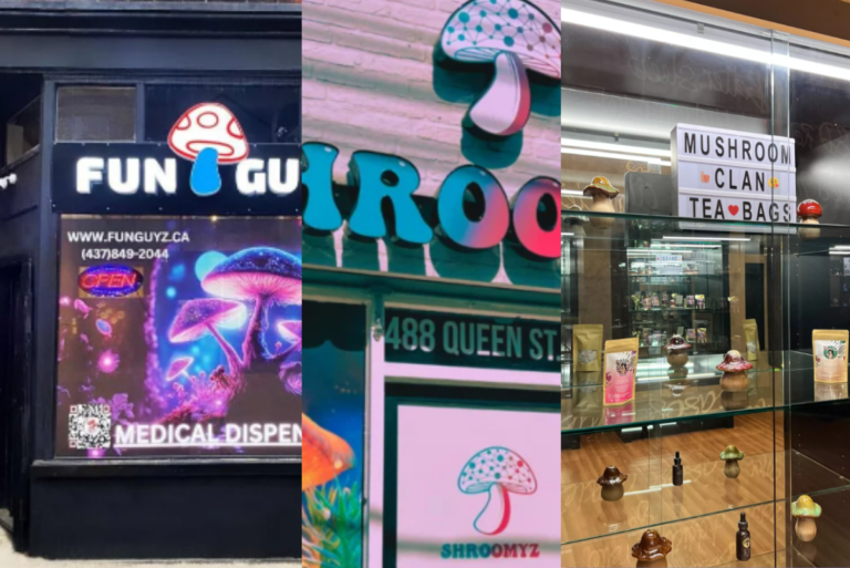 An Updated (Living) List of North American Psychedelic Dispensaries