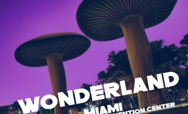 Wonderland Miami Exposes Growing Rift in Psychedelic Community