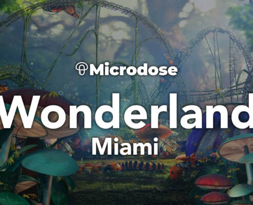 Wonderland Miami