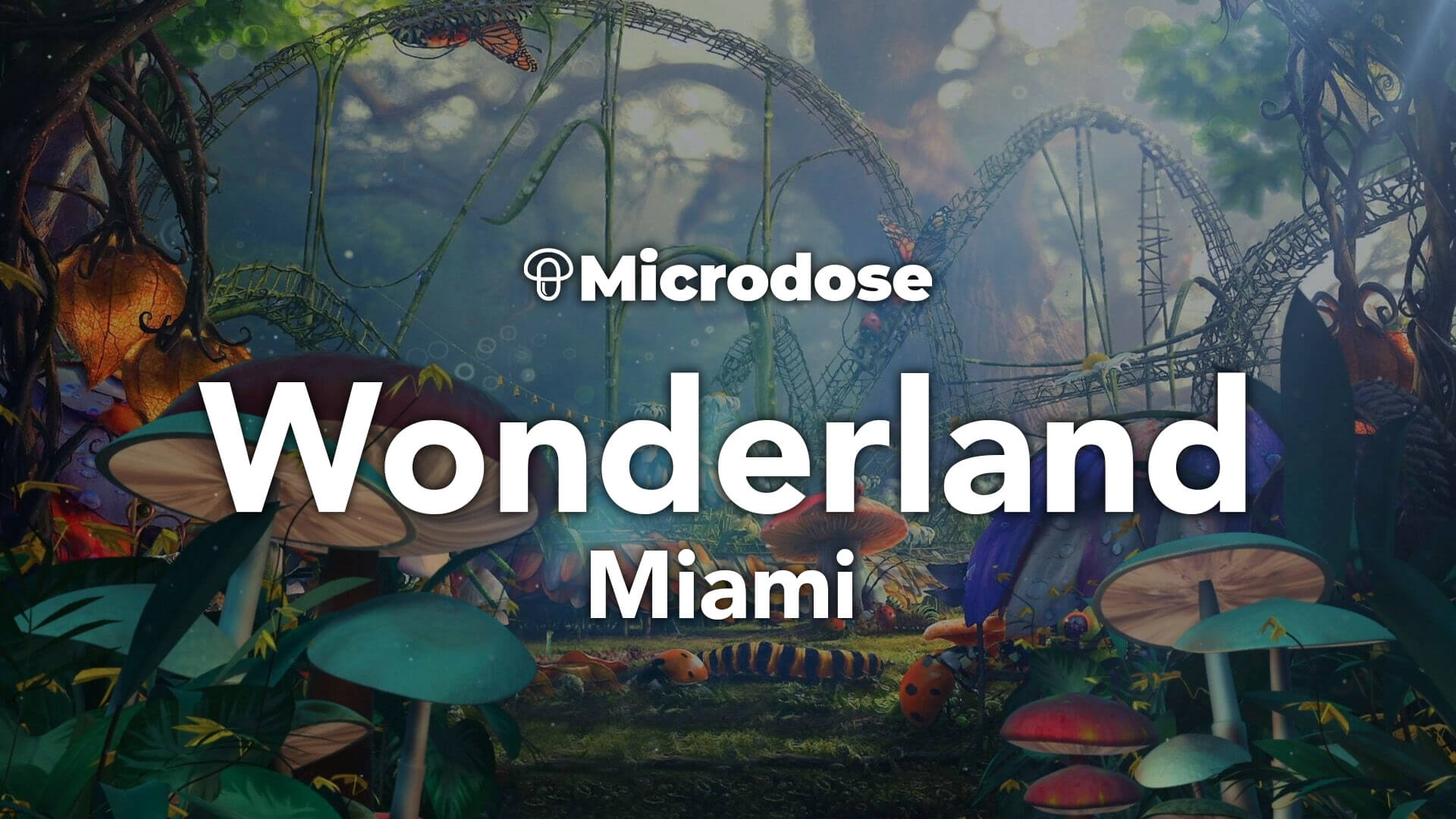 Wonderland Miami