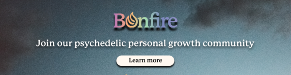 The Bonfire Psychedelic Community