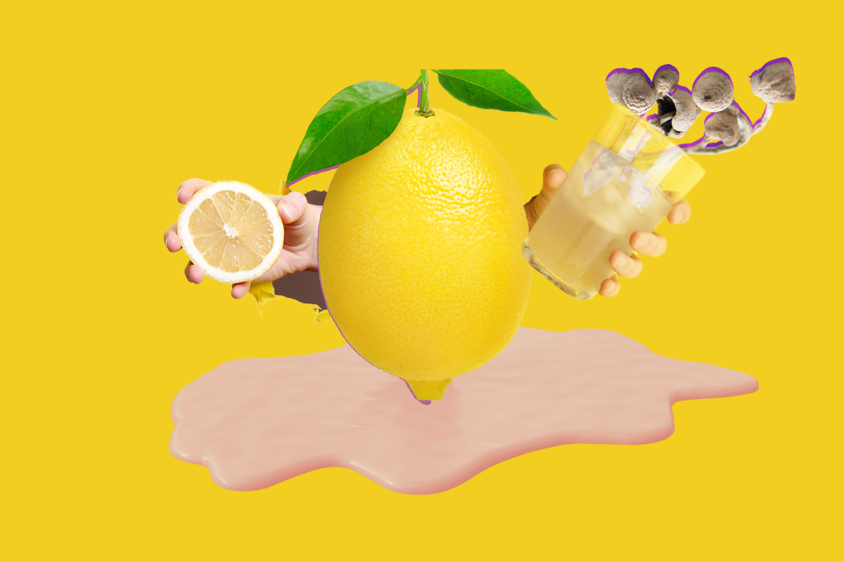 Everything you need to know about lemons