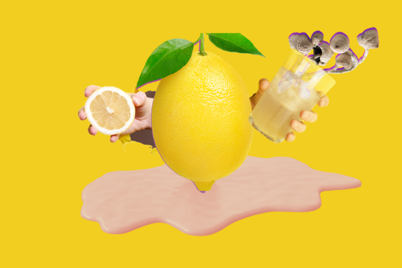 Lemon Tek: Everything You Need to Know About This Trendy Way of Consuming Magic Mushrooms