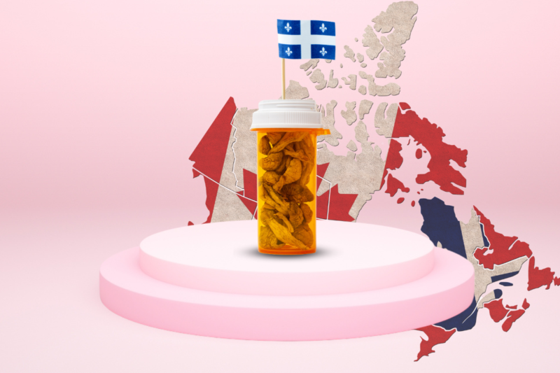 Quebec first Canadian province to cover costs of psilocybin therapy