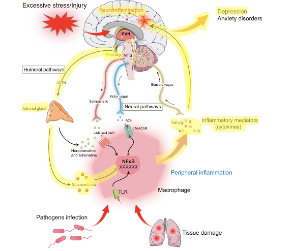 What Causes Depression? Is it Really a Chemical Imbalance? Here Are ...