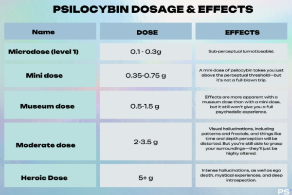 psilocybin dosage and effects