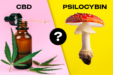 Psilocybin & CBD: Can You Mix Them?