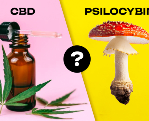 Psilocybin & CBD: Can You Mix Them?