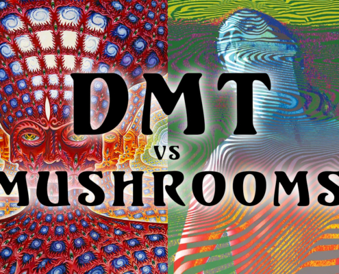 DMT vs. Psilocybin: Are We all Experiencing the Same Trip?