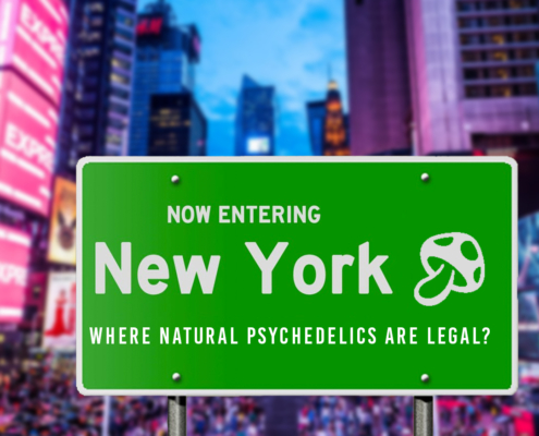 New York Lawmakers File a Bill to Legalize Natural Psychedelics