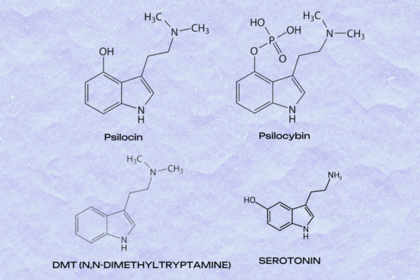 Psilocybin vs. DMT