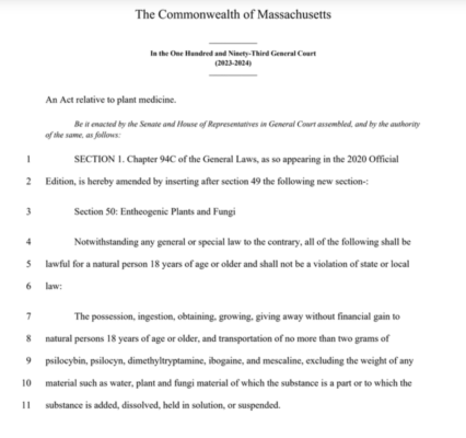 Massachusetts Lawmakers File Two Bills to Decriminalize Magic Mushrooms, DMT, Ibogaine and Mescaline
