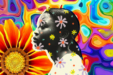 HIGHLIGHTING BLACK PSYCHEDELIC BUSINESSES, COLLECTIVES, AND GROUPS