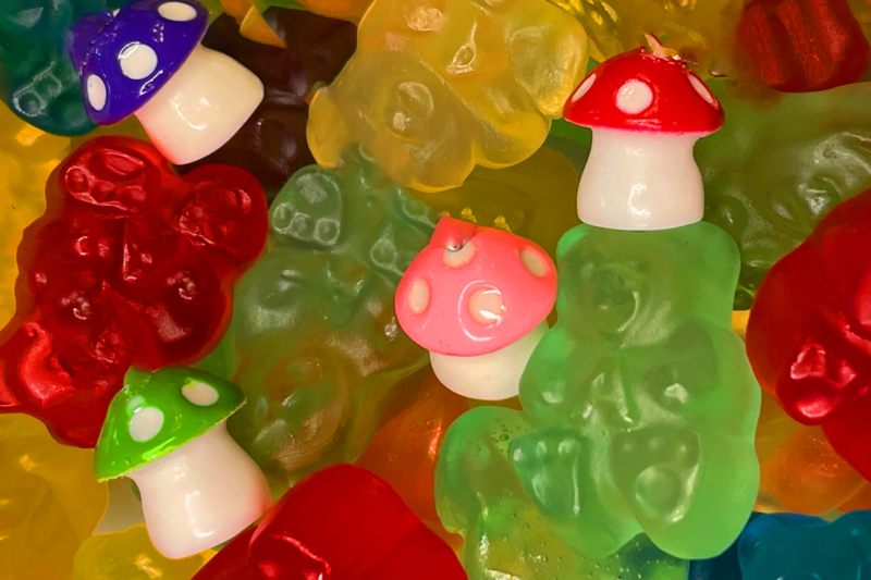 Magical Guide: How to Make Mushroom Gummies