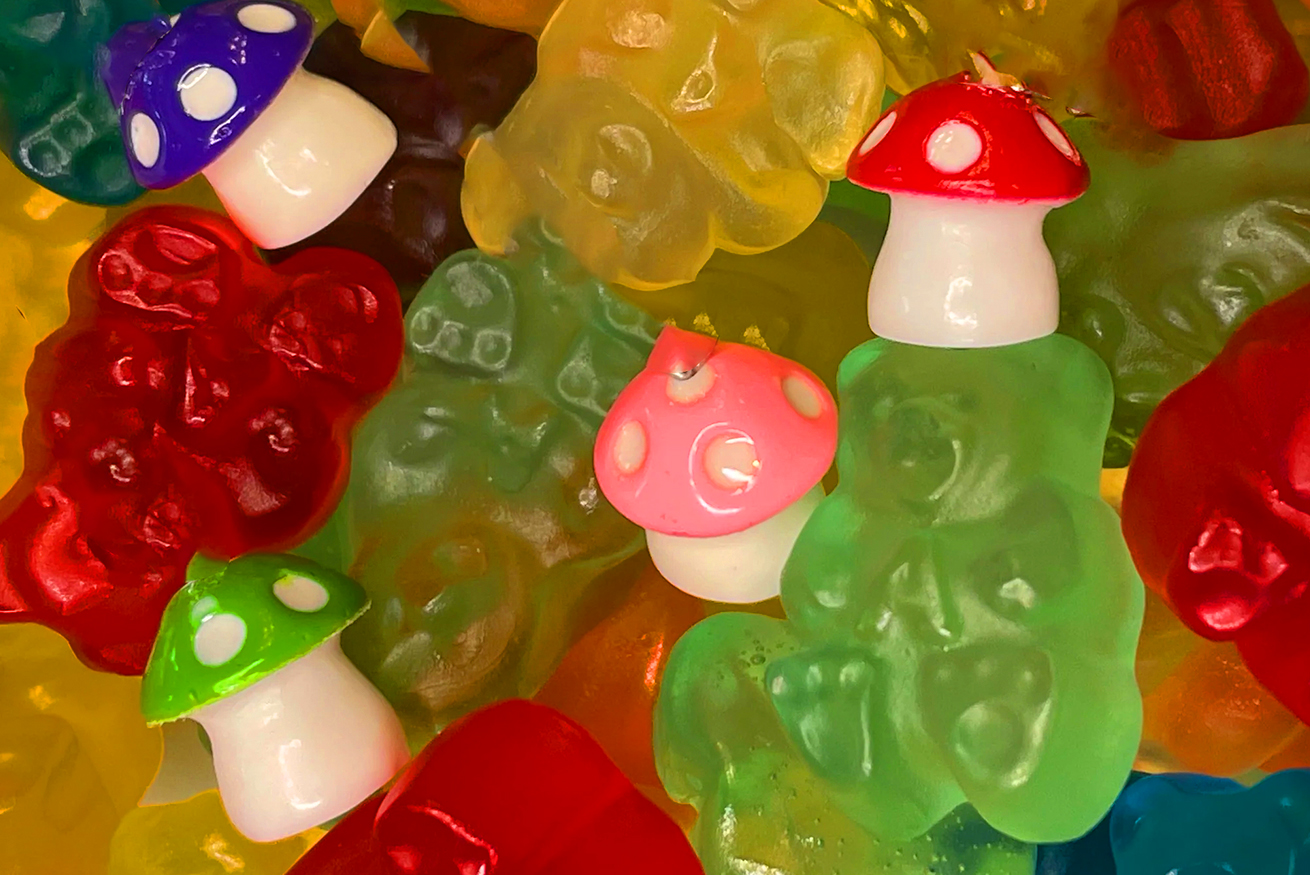 Mushroom Gummies with the LEVO Gummy Candy Mixer (My First Time) 