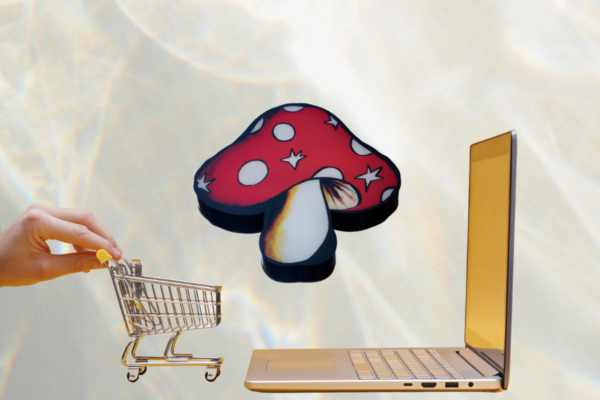 The Risks of Buying Shrooms From Online Dispensaries: Here’s What Could Happen
