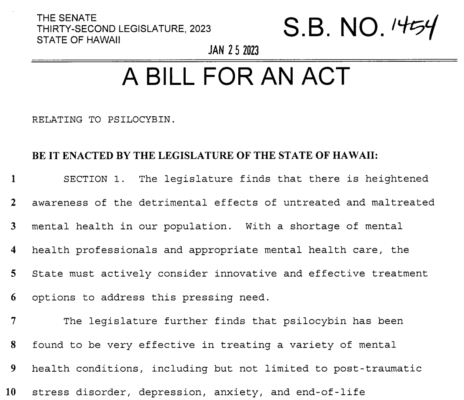 Hawaii Moves One Step Closer To Creating A Therapeutic Psilocybin Working Group