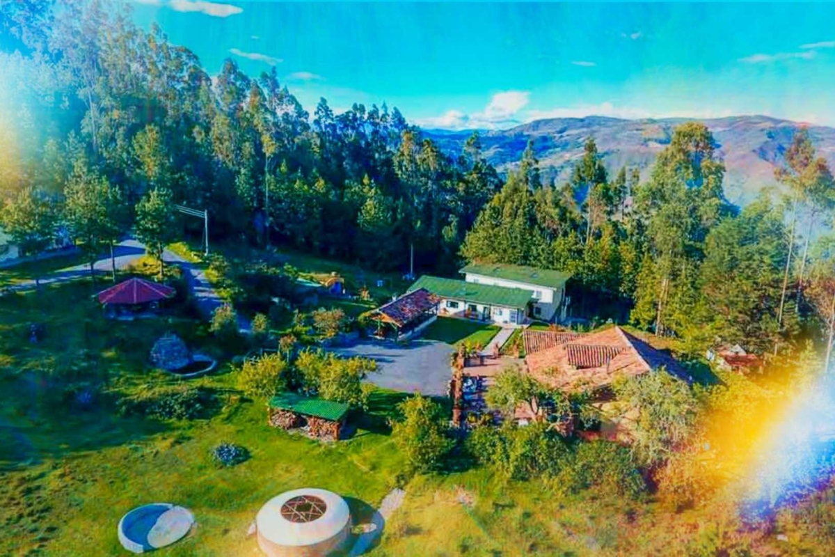 These Are Some of the Most Affordable Psychedelic Retreats Out There