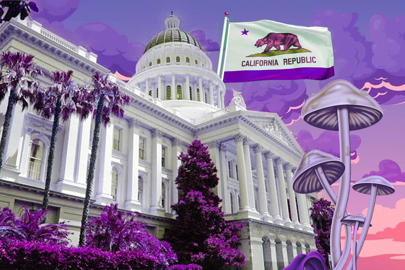 California Takes Major Step Towards Passing Psychedelics Legalization Bill