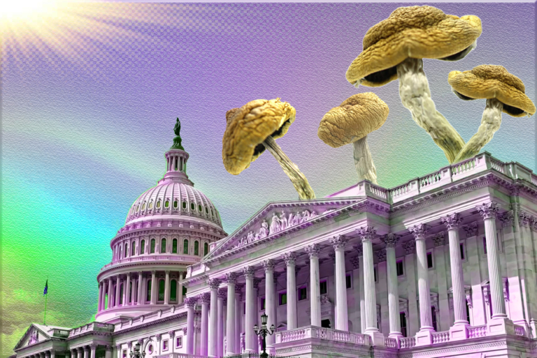 The Biggest Psychedelic News Stories This Week – March 31