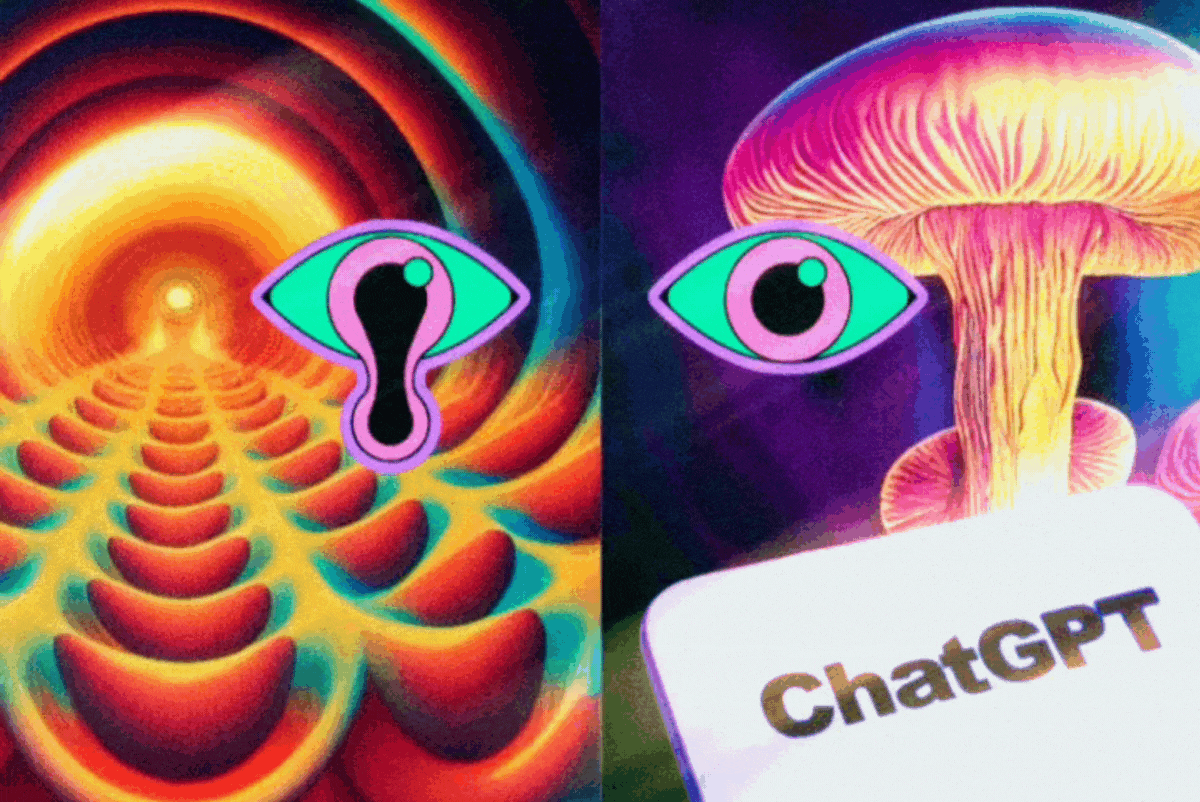 conversation between DMT, Shrooms and LSD