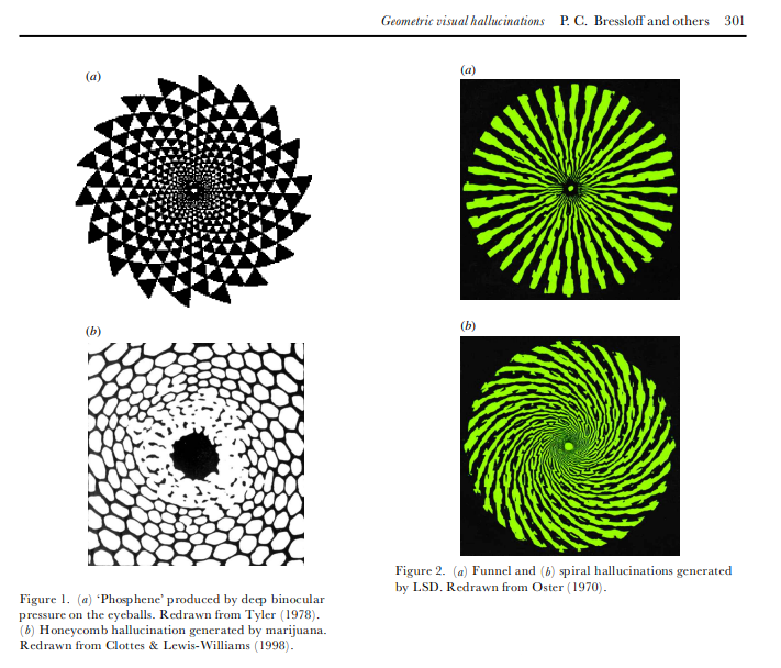 Why Do We See Geometric Visuals When We Trip on Psychedelics? Here's ...