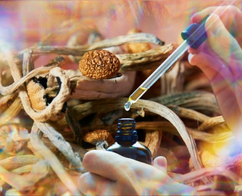 CBD and Psychedelics: Interactions and Research