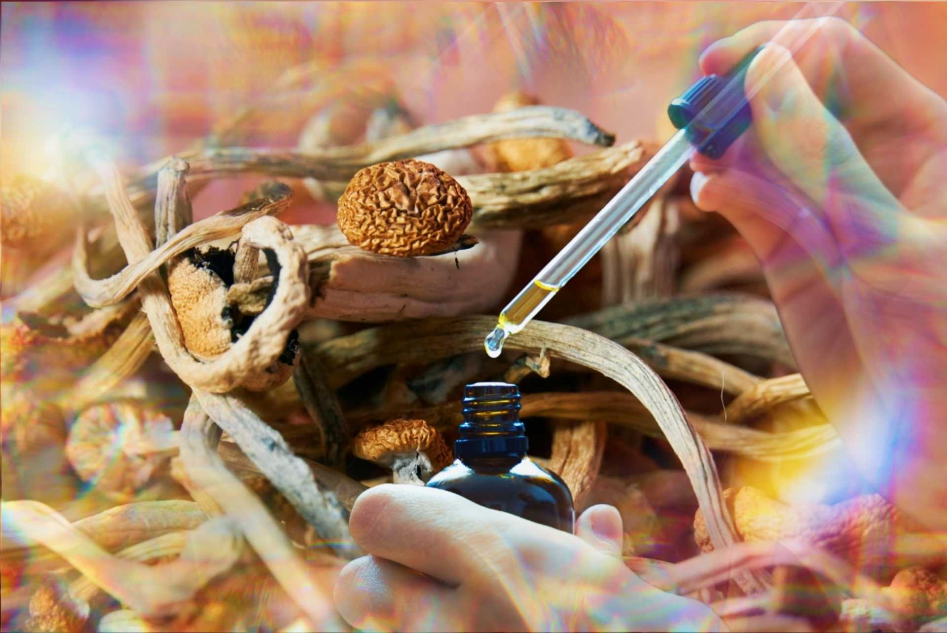 CBD and Psychedelics: Interactions and Research