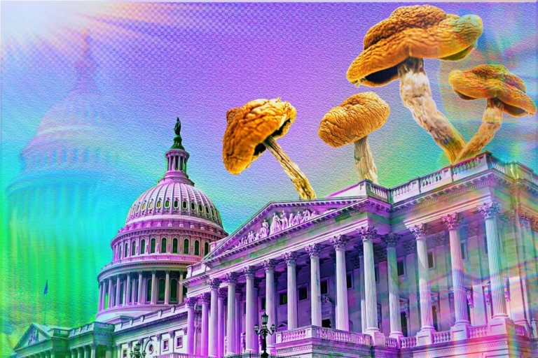 The Biggest Psychedelic News Stories of the Week – April 21