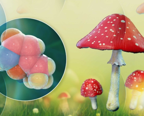 Panacea Life Sciences Is Conducting Research for Production on the Most Famous Mushroom: Amanita Muscaria