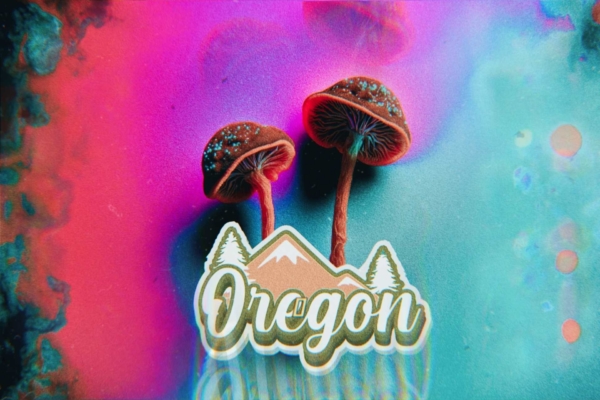 Oregon’s First Licensed Psilocybin Center Charges $2800 for One Session: Are the Costs Justifiable?