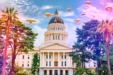 California Senate Votes in Favor of Legalizing Natural Psychedelics