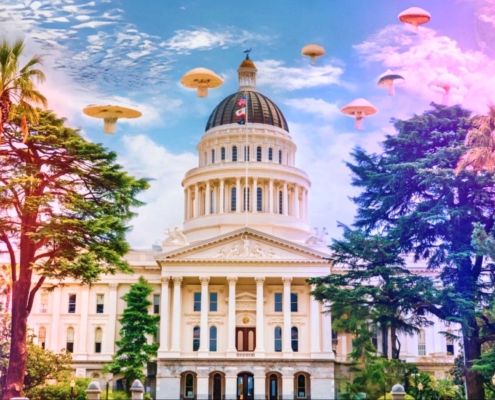 California Senate Votes in Favor of Legalizing Natural Psychedelics