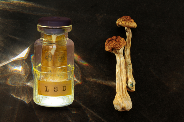 Shrooms vs. LSD: Differences, Similarities & Research Progress