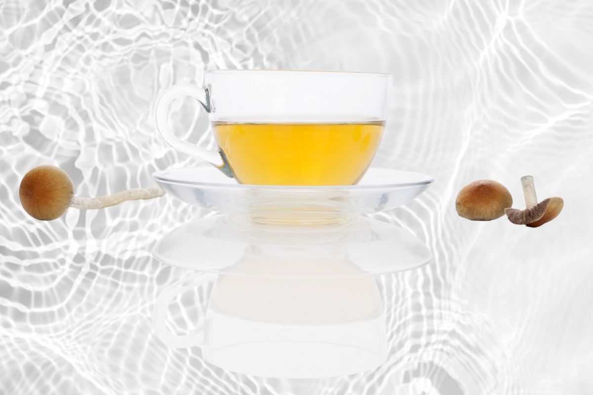 Hechitok Mushrooms Tea Cosy Warming & Insulating