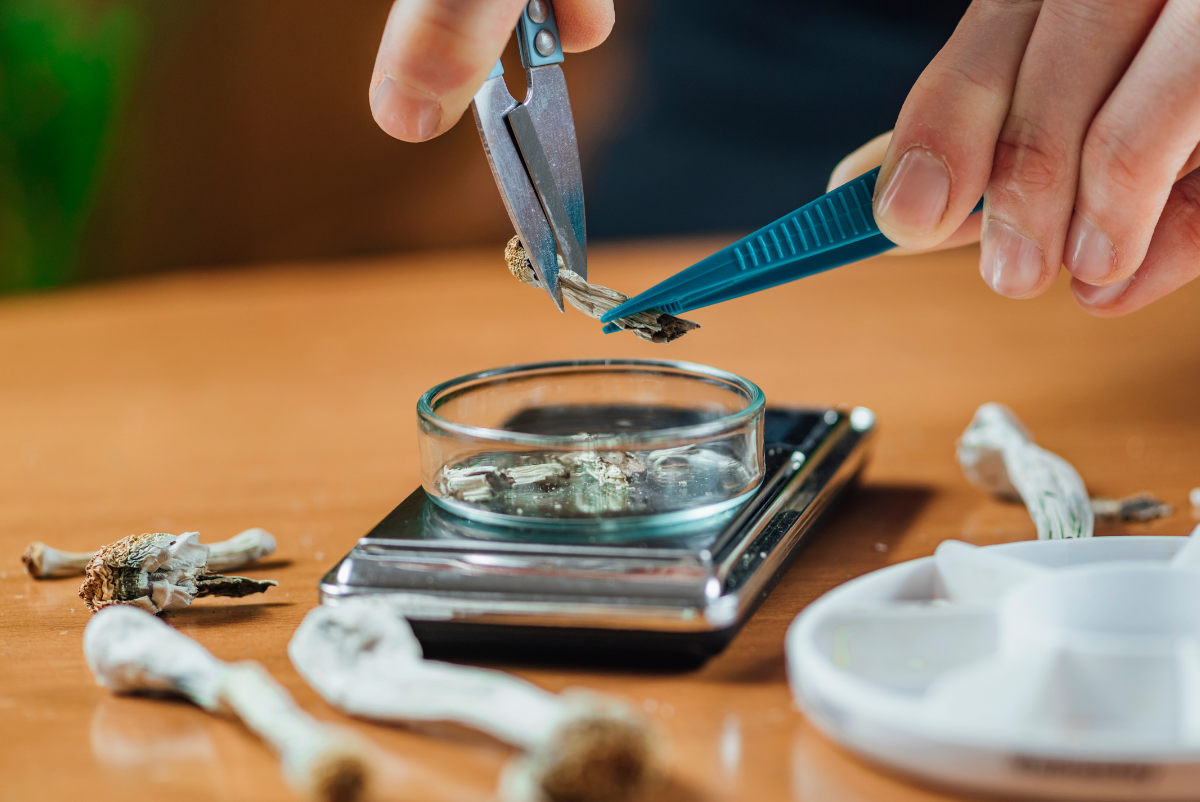 How to Make Magic Mushroom Tea: Ultimate 2023 Guide
