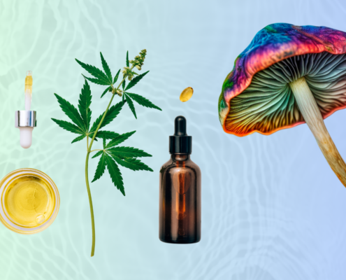 5 Things To Keep In Mind When You First Buy CBD And Magic Mushrooms