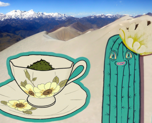 A Step-by-Step Guide: Making San Pedro Cactus Mescaline Tea