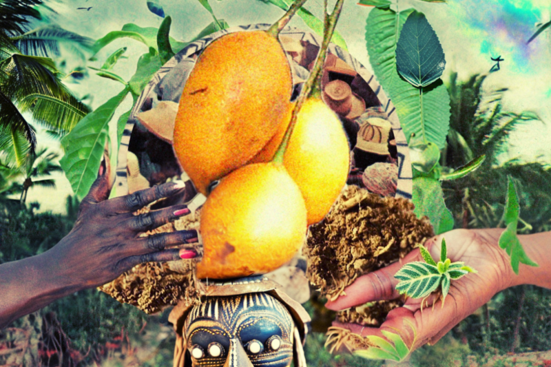 Guide to Ibogaine - The Ibogaine Experience, Benefits & Side Effects