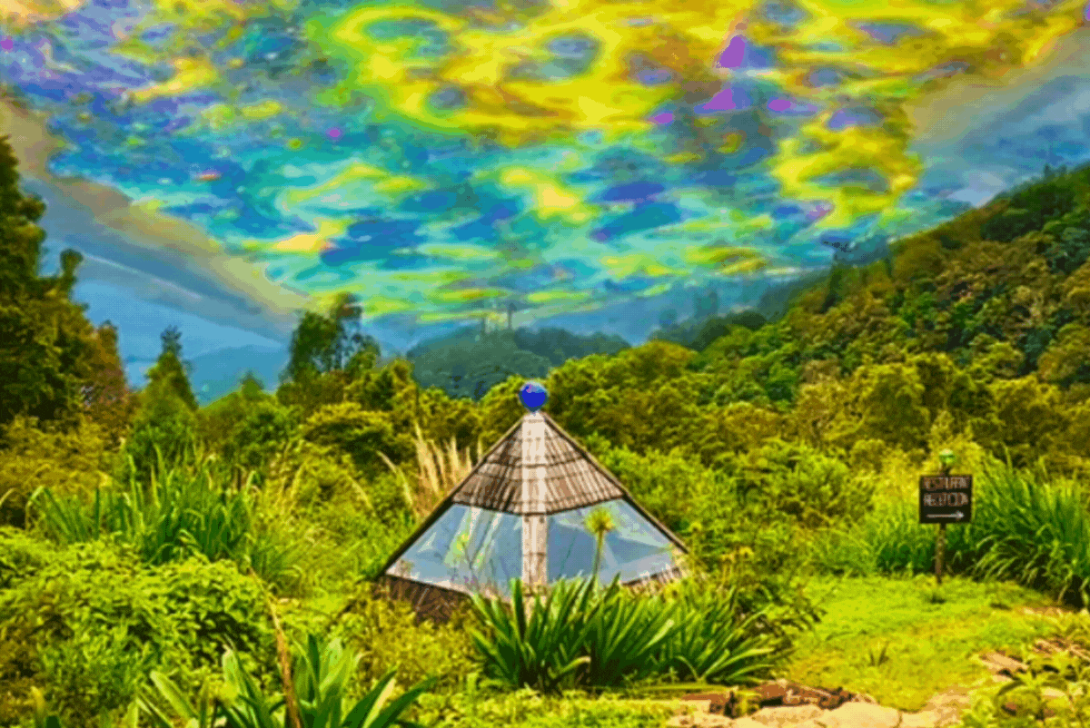 We Made a List of the Top 7 Psychedelic Retreats in Mexico