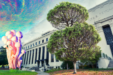 Berkeley Officially Decriminalizes Possession of Psilocybin Mushrooms