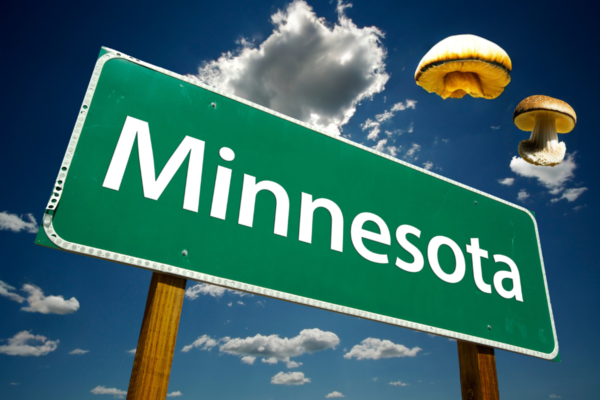 Minnesota's Psychedelic Task Force: Because Why Rush Progress When You Can Take It Slow?
