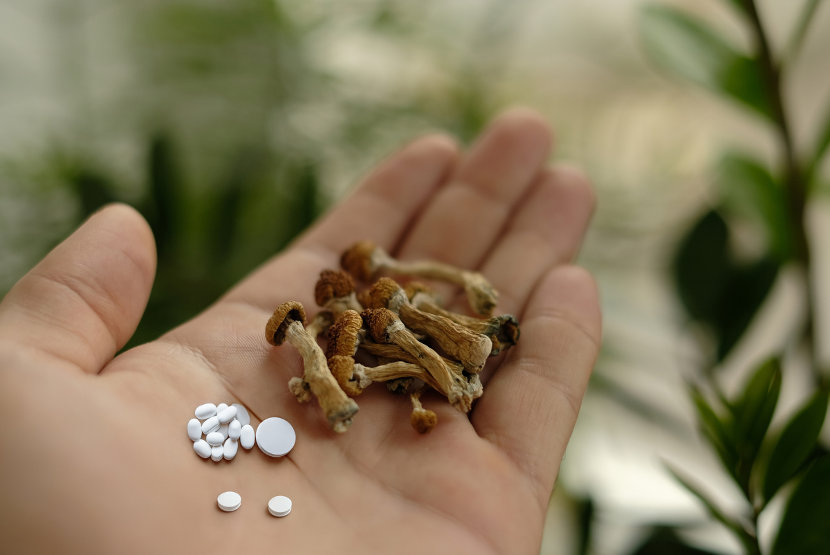 The Risks of Mixing Psychedelics and Opioids for Chronic Pain