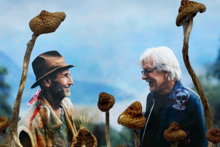 Monks on Mushrooms: ‘Descending the Mountain’ Pairs Zen with Psychedelics